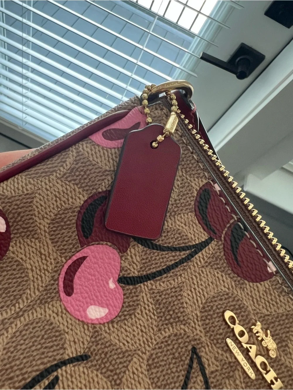 COACH Nolita 19 In Signature Canvas With Cherry Print Pre Owned